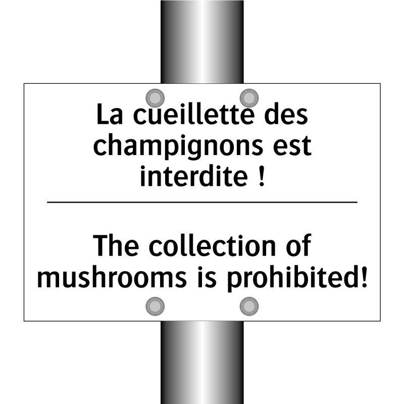 La cueillette des champignons  /.../ - The collection of mushrooms is  /.../