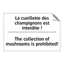 La cueillette des champignons  /.../ - The collection of mushrooms is  /.../