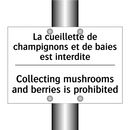 La cueillette de champignons et  /.../ - Collecting mushrooms and berries  /.../