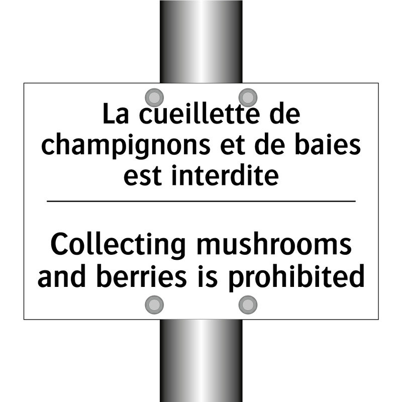 La cueillette de champignons et  /.../ - Collecting mushrooms and berries  /.../