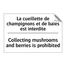 La cueillette de champignons et  /.../ - Collecting mushrooms and berries  /.../