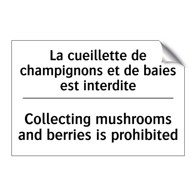La cueillette de champignons et  /.../ - Collecting mushrooms and berries  /.../