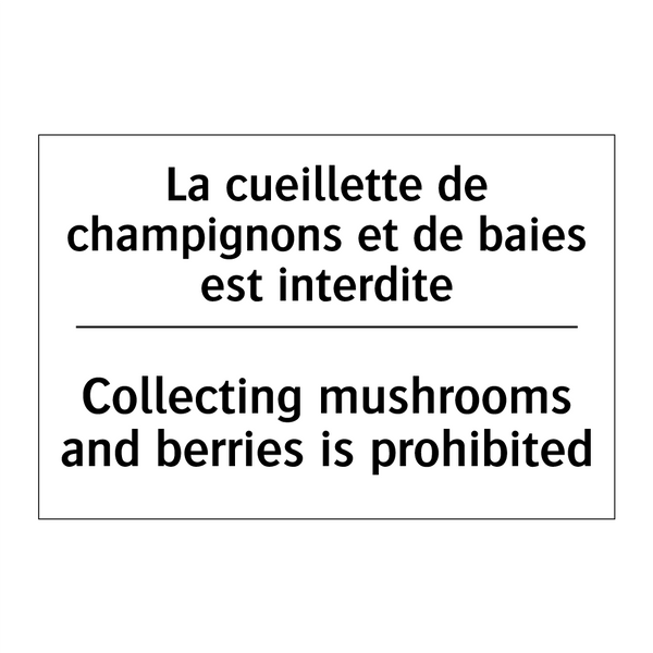 La cueillette de champignons et  /.../ - Collecting mushrooms and berries  /.../