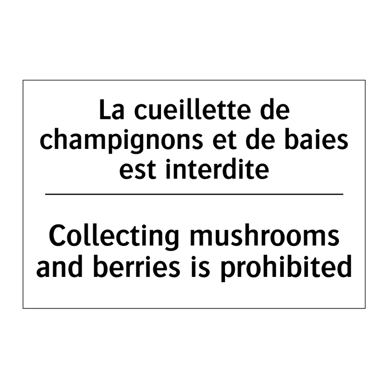 La cueillette de champignons et  /.../ - Collecting mushrooms and berries  /.../