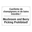 Cueillette de champignons et de  /.../ - Mushroom and Berry Picking Prohibited! /.../
