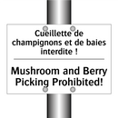 Cueillette de champignons et de  /.../ - Mushroom and Berry Picking Prohibited! /.../