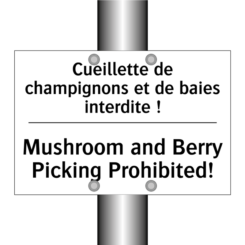 Cueillette de champignons et de  /.../ - Mushroom and Berry Picking Prohibited! /.../
