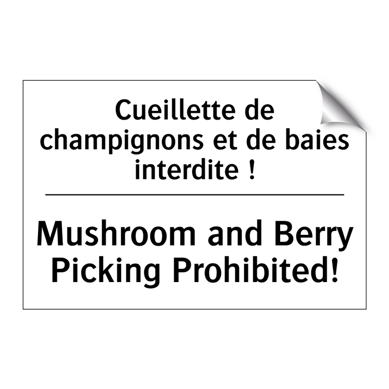 Cueillette de champignons et de  /.../ - Mushroom and Berry Picking Prohibited! /.../