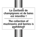La cueillette de champignons et  /.../ - The collection of mushrooms and  /.../