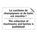 La cueillette de champignons et  /.../ - The collection of mushrooms and  /.../