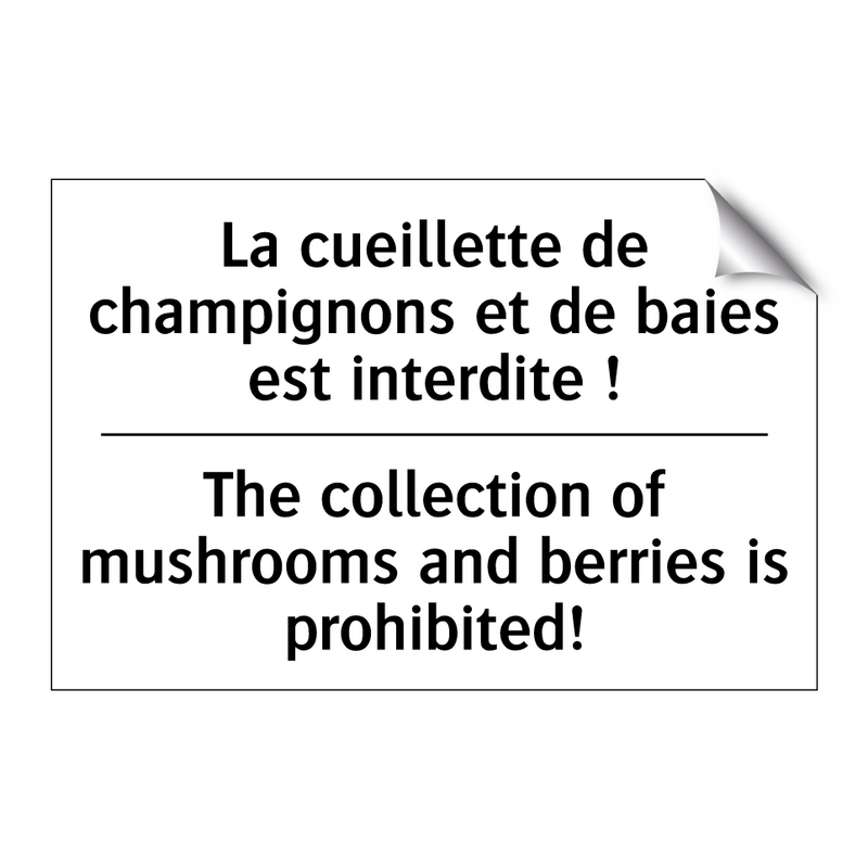 La cueillette de champignons et  /.../ - The collection of mushrooms and  /.../