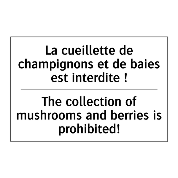 La cueillette de champignons et  /.../ - The collection of mushrooms and  /.../