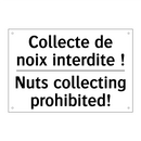 Collecte de noix interdite ! - Nuts collecting prohibited!