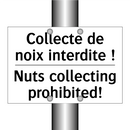 Collecte de noix interdite ! - Nuts collecting prohibited!