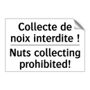 Collecte de noix interdite ! - Nuts collecting prohibited!