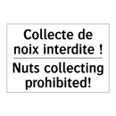 Collecte de noix interdite ! - Nuts collecting prohibited!