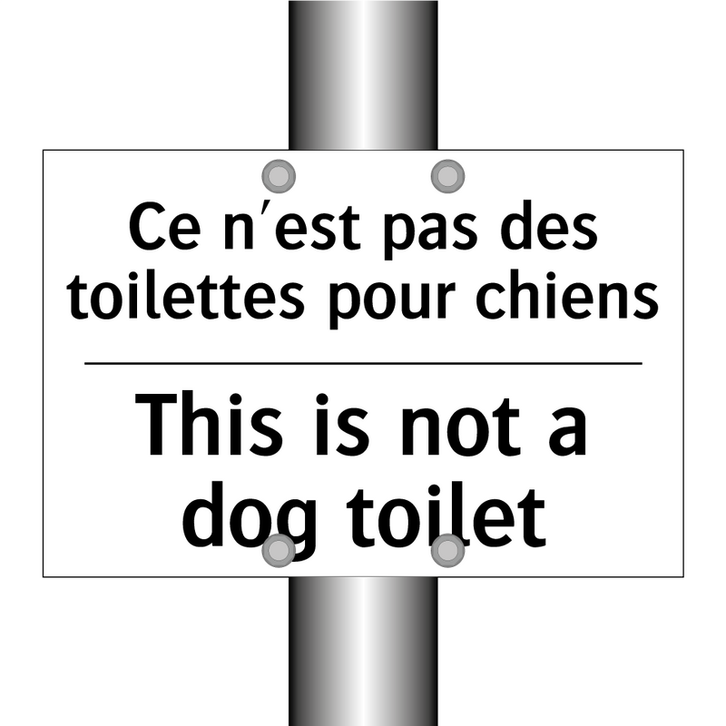 Ce n'est pas des toilettes pour  /.../ - This is not a dog toilet