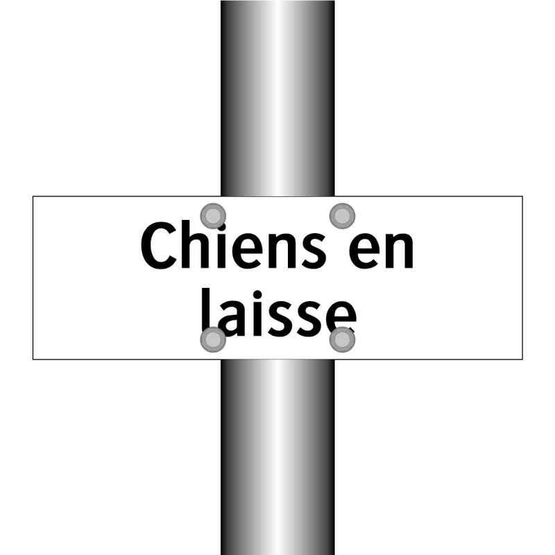 Chiens en laisse