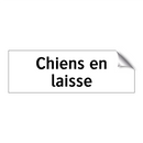 Chiens en laisse