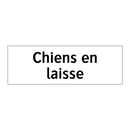 Chiens en laisse