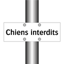 Chiens interdits