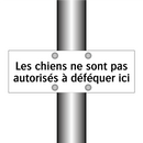 Les chiens ne sont pas autorisés à déféquer ici
