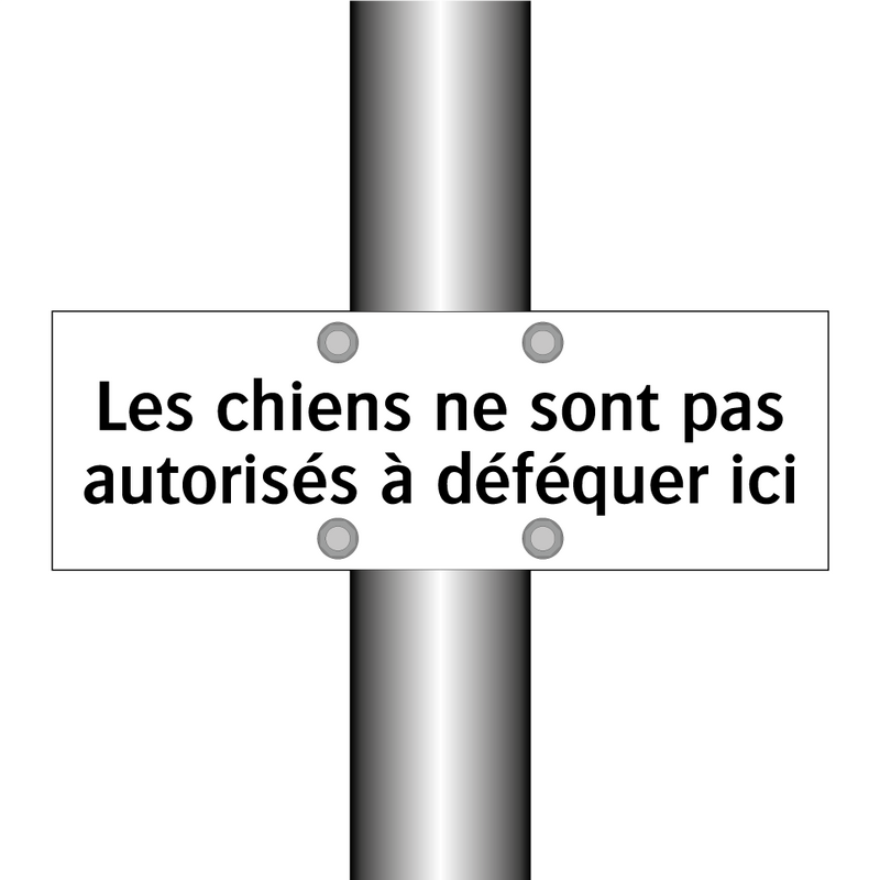 Les chiens ne sont pas autorisés à déféquer ici
