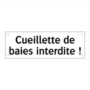 Cueillette de baies interdite !