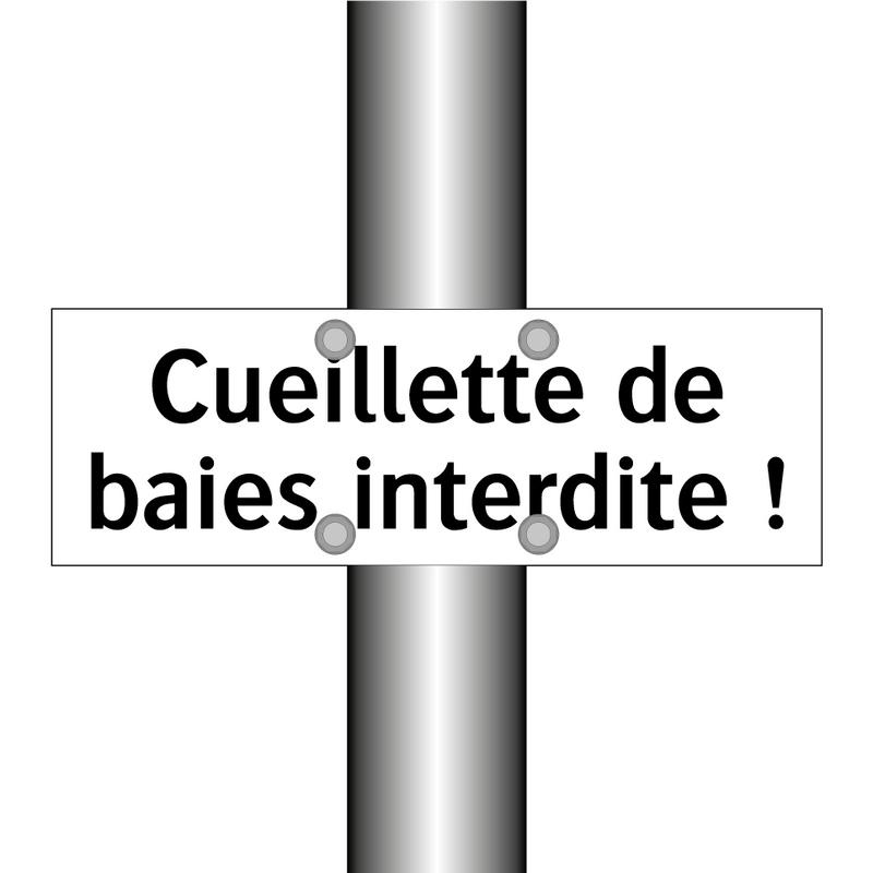 Cueillette de baies interdite !