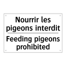 Nourrir les pigeons interdit - Feeding pigeons prohibited