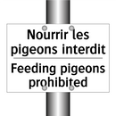 Nourrir les pigeons interdit - Feeding pigeons prohibited
