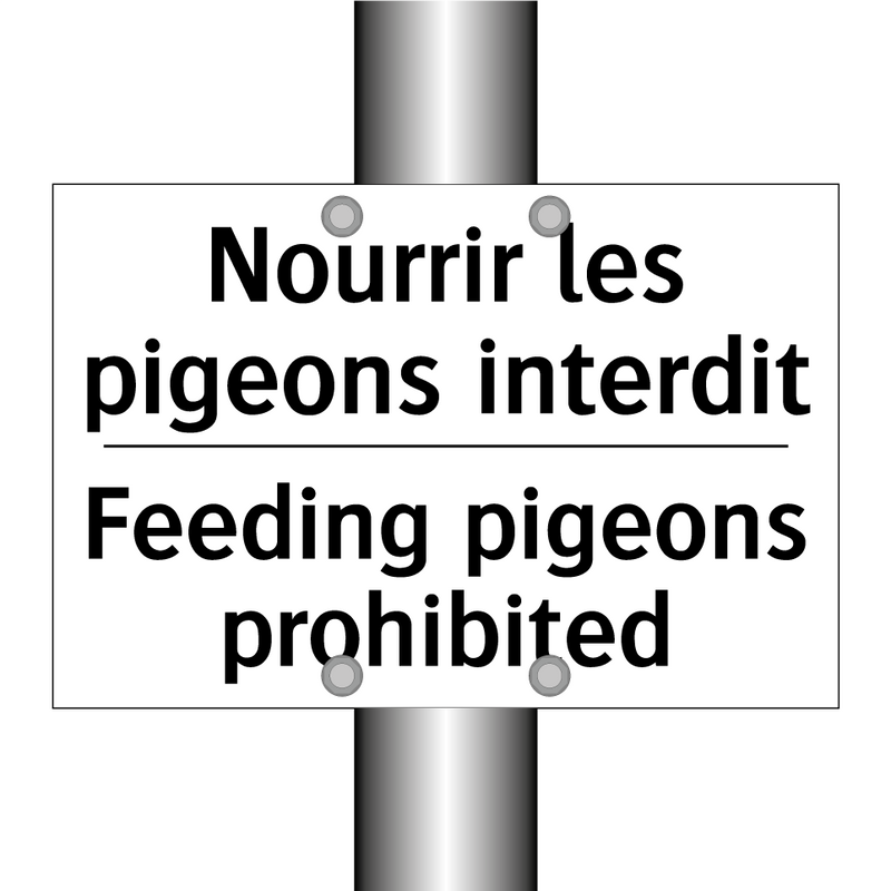 Nourrir les pigeons interdit - Feeding pigeons prohibited