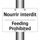 Nourrir interdit - Feeding Prohibited