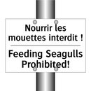Nourrir les mouettes interdit  /.../ - Feeding Seagulls Prohibited!