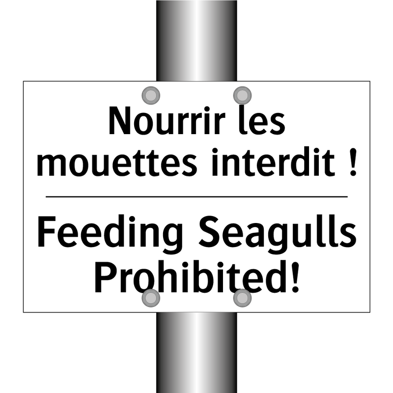 Nourrir les mouettes interdit  /.../ - Feeding Seagulls Prohibited!