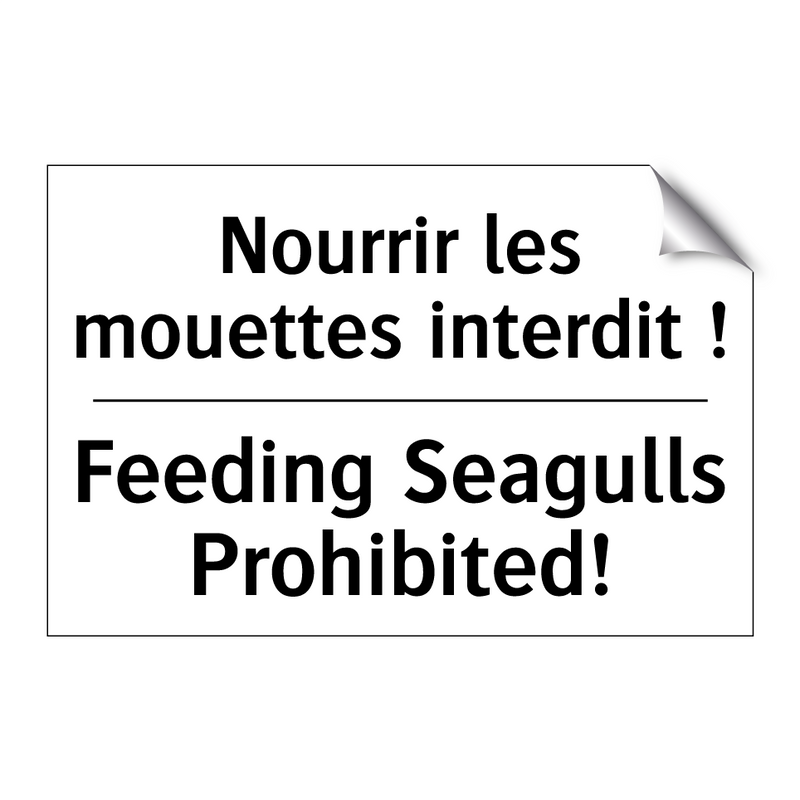 Nourrir les mouettes interdit  /.../ - Feeding Seagulls Prohibited!