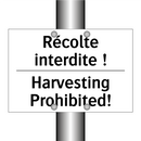 Récolte interdite ! - Harvesting Prohibited!