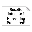 Récolte interdite ! - Harvesting Prohibited!