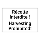 Récolte interdite ! - Harvesting Prohibited!