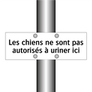 Les chiens ne sont pas autorisés à uriner ici