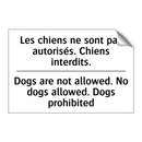Les chiens ne sont pas autorisés.  /.../ - Dogs are not allowed. No dogs  /.../