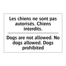 Les chiens ne sont pas autorisés.  /.../ - Dogs are not allowed. No dogs  /.../
