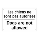 Les chiens ne sont pas autorisés /.../ - Dogs are not allowed