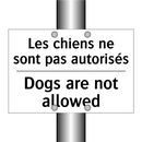Les chiens ne sont pas autorisés /.../ - Dogs are not allowed