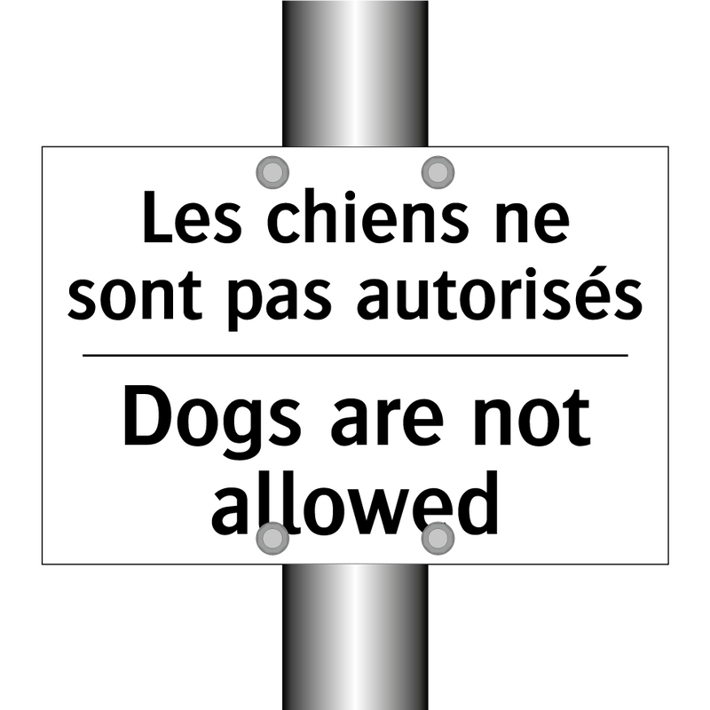 Les chiens ne sont pas autorisés /.../ - Dogs are not allowed