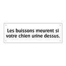 Les buissons meurent si votre chien urine dessus.