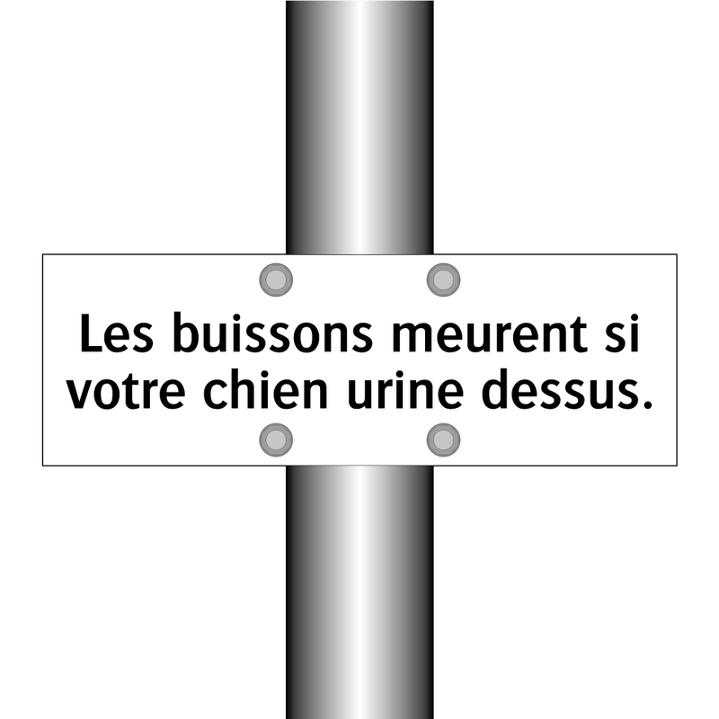 Les buissons meurent si votre chien urine dessus.