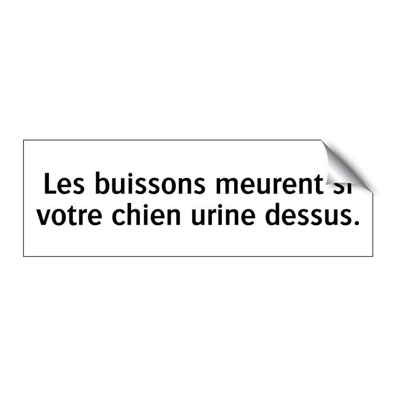 Les buissons meurent si votre chien urine dessus.