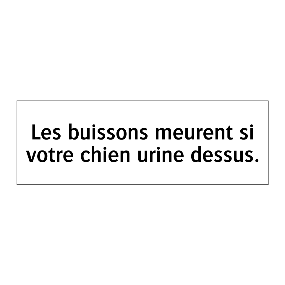 Les buissons meurent si votre chien urine dessus.