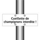 Cueillette de champignons interdite !